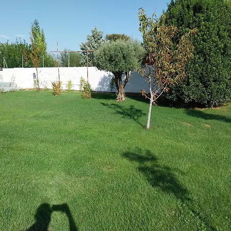 Con Piscina Flor De La Vida