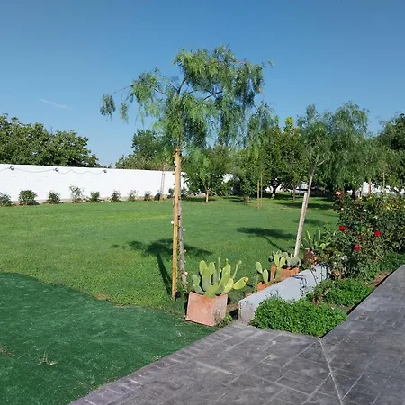 Con Piscina Flor De La Vida Zaragoza