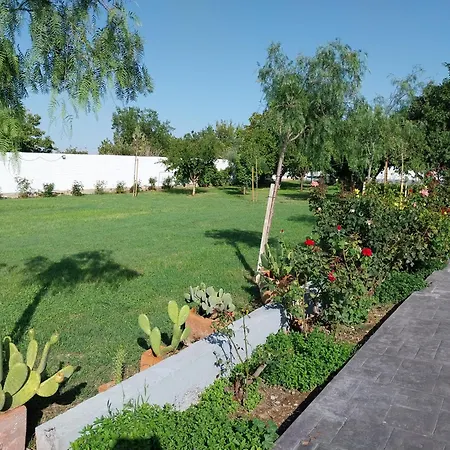 Con Piscina Flor De La Vida * Сарагоса
