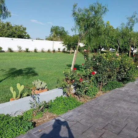 Con Piscina Flor De La Vida Holiday home
