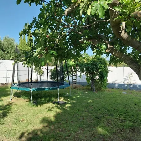 Con Piscina Flor De La Vida