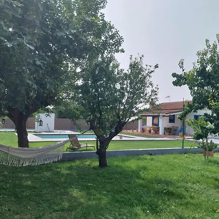 Con Piscina Flor De La Vida Hébergement de vacances Saragosse