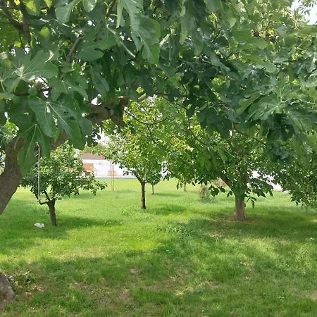Con Piscina Flor De La Vida * Zaragoza